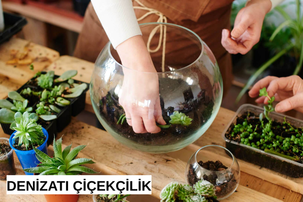 teraryum bitkiler, teraryum modelleri, Konya teraryum
